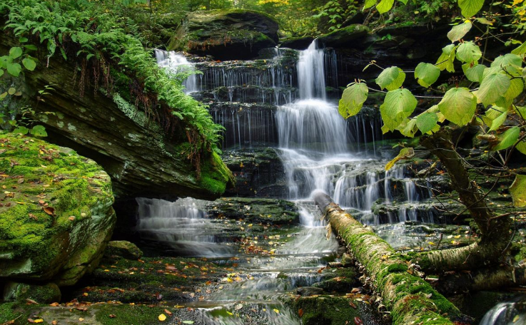 Потрясающий водопад. Расслабляющие звуки горного ручья ✦ Звуки леса и пение птиц ✦ Relax Sleep смотреть онлайн