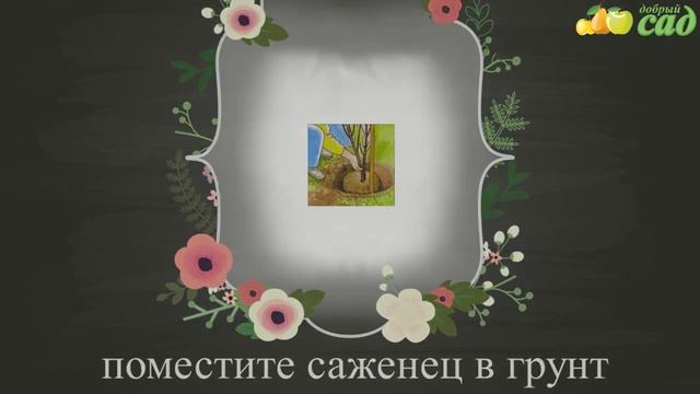 Стройка Гуру