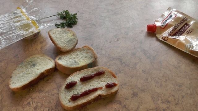 Обед холостяка. Бутерброд с начинкой. ZikValera смотреть онлайн