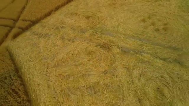 178 Донесение. 3 августа 2015. Англия. Графство Уилтшир. смотреть онлайн