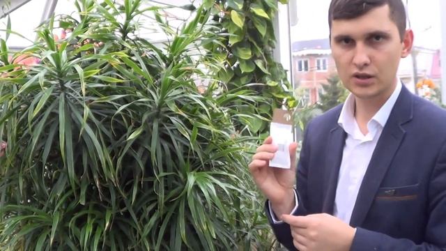 Строительная Стратегия