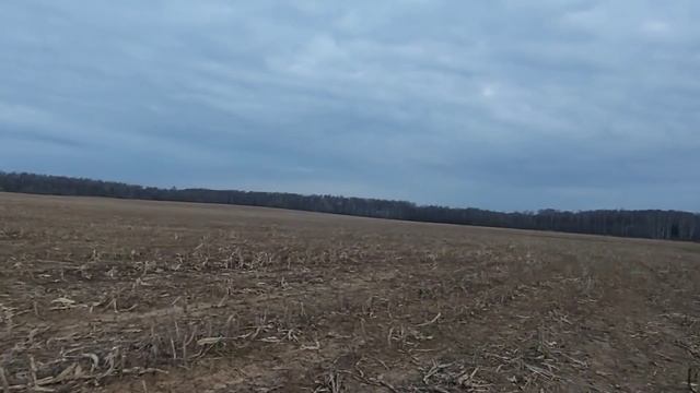 Первое утро на гуся/ С полем/ смотреть онлайн