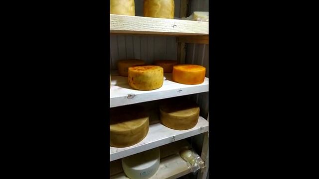 Пресс для Сыра / Сыроварни Тремасова /Доступный пресс для сыра / Пневматический пресс для сыра смотреть онлайн