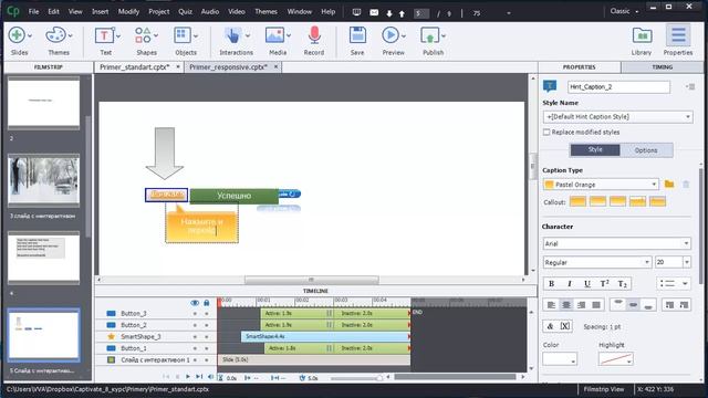 13. Adobe Captivate - настройка и использование кнопок - часть 2. Как сделать свои кнопки. смотреть онлайн