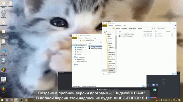 Как сделать анимированный префикс в Discord || Ms. Radmirka смотреть онлайн