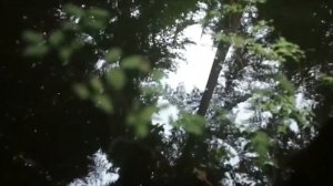 Титанобоа - Дунёдаги энг улкан шафқатсиз Илон Анакондани Додаси