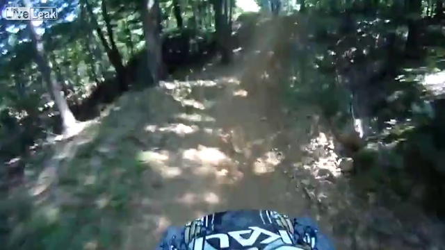 Скоростной спуск с горы на велосипеде смотреть онлайн