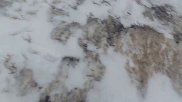 Супер новости города Ульяновска (супер ворона) смотреть онлайн