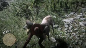 Red Dead Redemption 2 - КАК и ГДЕ ПОЙМАТЬ БАРАНА?