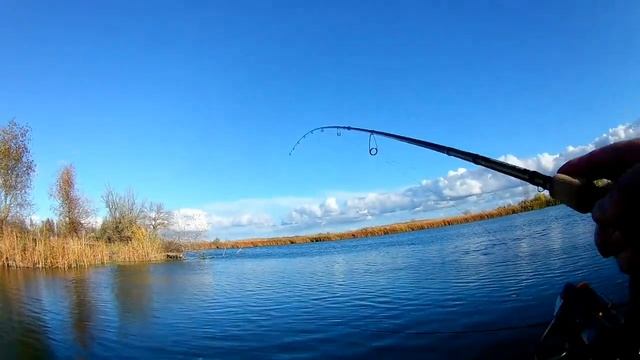 Рыбалка в Ноябре 2020. Ерик Кривой. Щука, окунь. смотреть онлайн