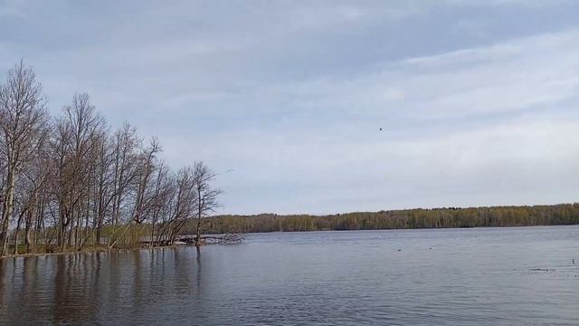 рыбалка в Тверской области, май 2022 смотреть онлайн