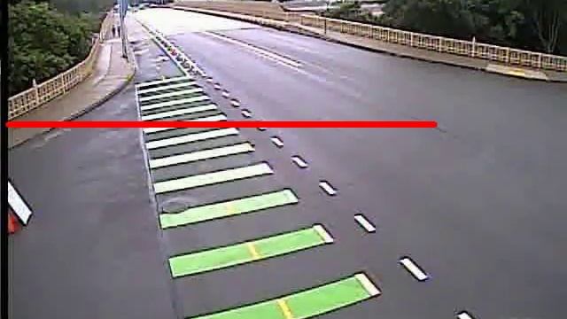 Cascaded Pedestrian and Cyclist Counter-2 смотреть онлайн