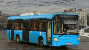Автобус 80