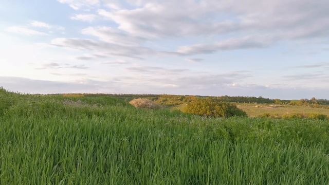 Выпас овец. Еще один вечер в деревне. Село Дегтярное. 30.04.2022 #жизньвдеревне смотреть онлайн