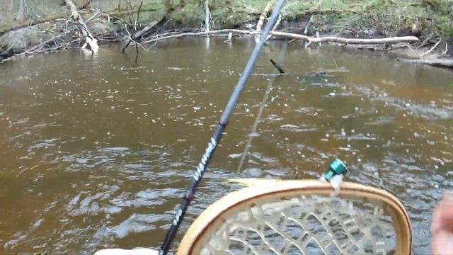 Весенняя форель. смотреть онлайн