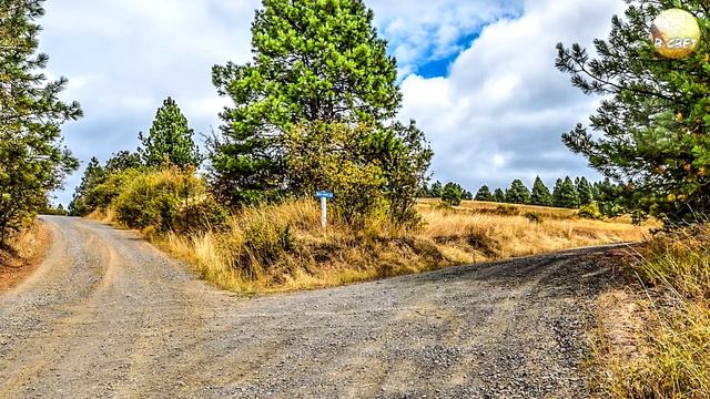 ИНТУИЦИЯ ВИДЕНИЕ БУДУЩЕГО | 23 февраля 2019 смотреть онлайн