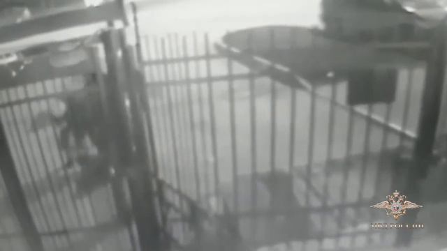 Полиция ОМВД Царицыно спасла женщину от неадекватного мужа смотреть онлайн