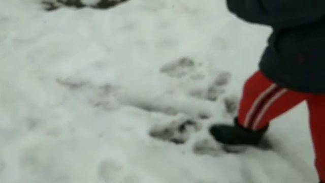 петарда P500 и P1000