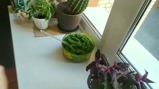 Ароматная зелёная паста с оливками. Заготавливаю зелень на зиму. смотреть онлайн