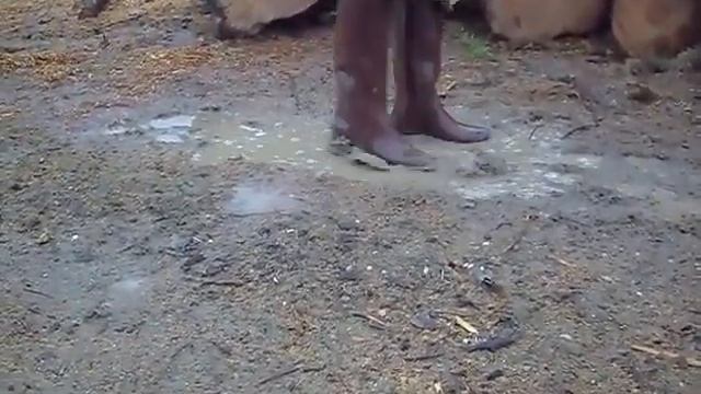 rubber boots puddle смотреть онлайн