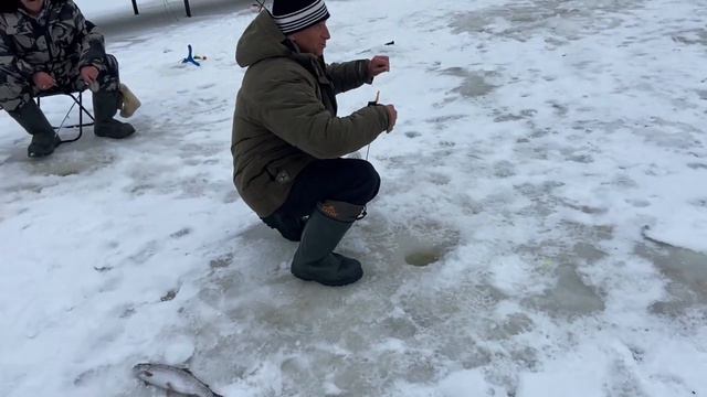 Зарыбление форели, поимки форели паста блесна ратлин смотреть онлайн