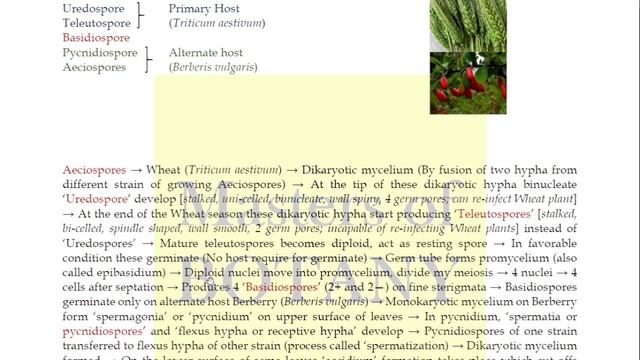 Lecture 23: Part-2 | Puccinia Life Cycle (Rust Fungi) | Fungi (Mycology) Lecture + Notes смотреть онлайн