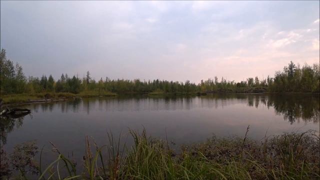 Норильск. Неудачная тихая охота. На безгрибье и гольян развлечение :) смотреть онлайн