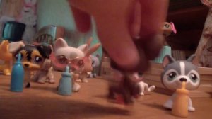 LPS СЕРИАЛ: Девки, ПАРНИ РоКеНрОл! (3Серия.1Сезон.) Съешь суп, а потом иди в клуб :D