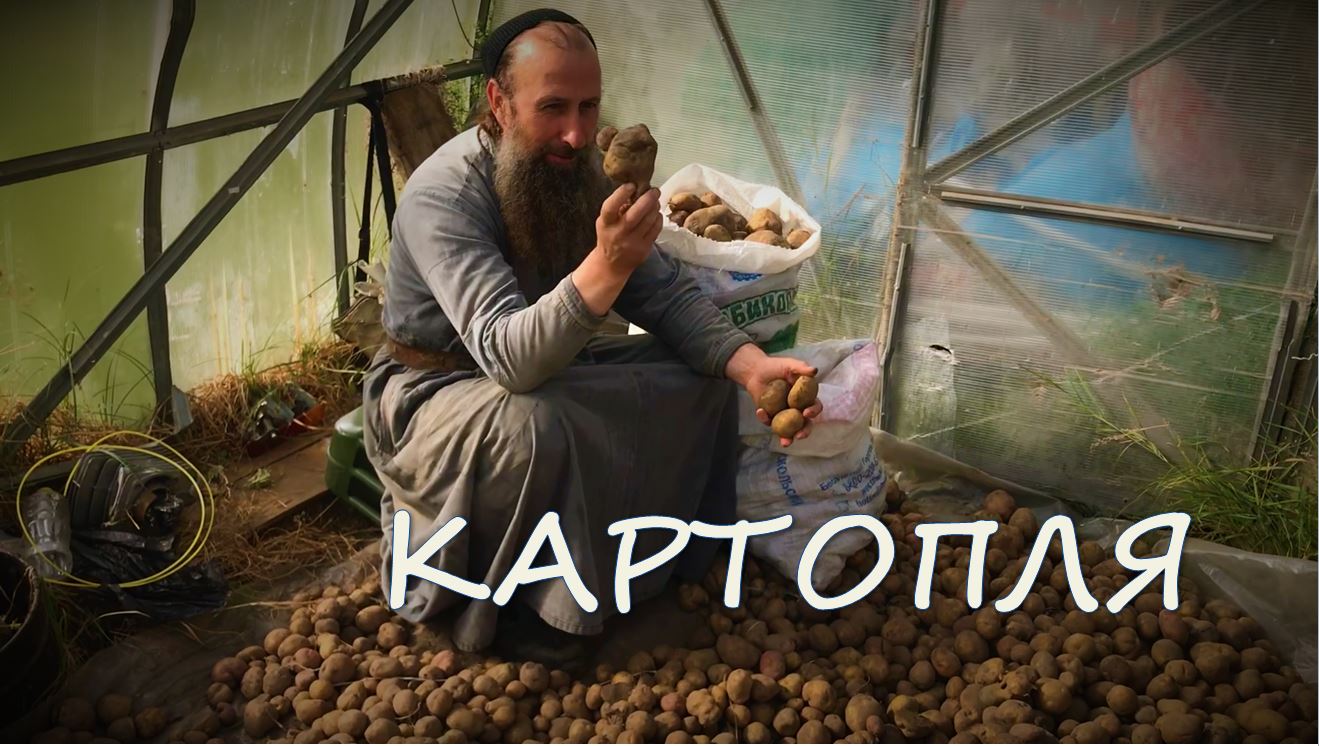 Картопля смотреть онлайн