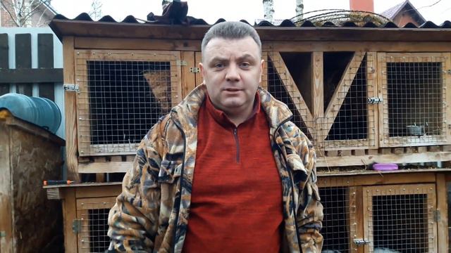 Обо всём понемногу смотреть онлайн