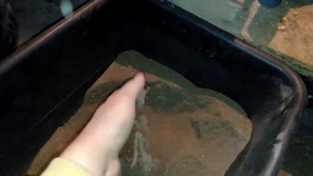 Дробилка своими руками. Самодельный комбикорм для свиней