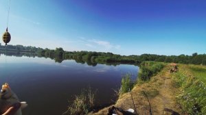 Рыбалка на деревенском пруду. Ловля карася на флэт метод фидер. Рыбалка летом.