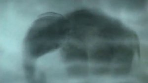 Обкуренный ёжик в туманности