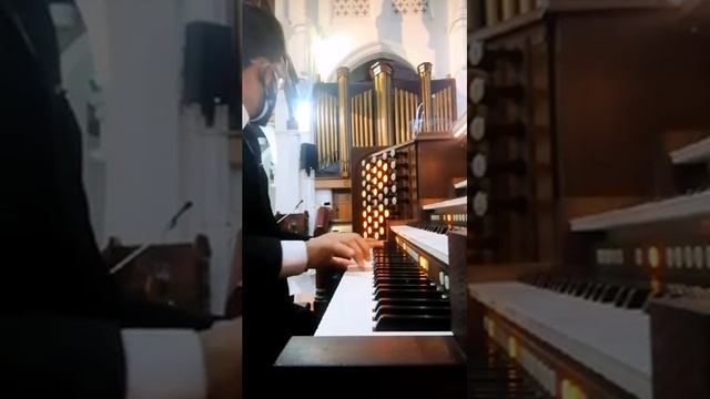 Wedding March by Mendelssohn @Church of St. Michael's and All Angels, Polwatte смотреть онлайн