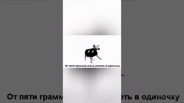 Развитие и развитие