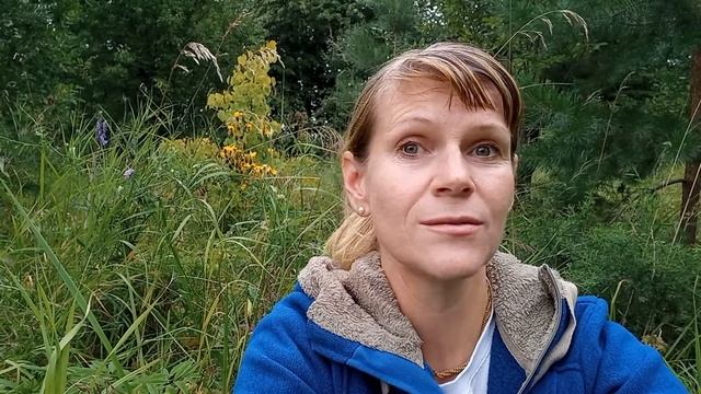 КАК ВЫБИРАТЬ МЕСТО ДЛЯ СТРОИТЕЛЬСТВА ДОМА смотреть онлайн