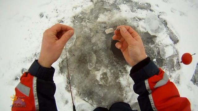 ЗИМНЯЯ РЫБАЛКА# ЗАЧЕТНАЯ ЩУКА"ОКУНЬ"на ЖИВЦА!!! смотреть онлайн