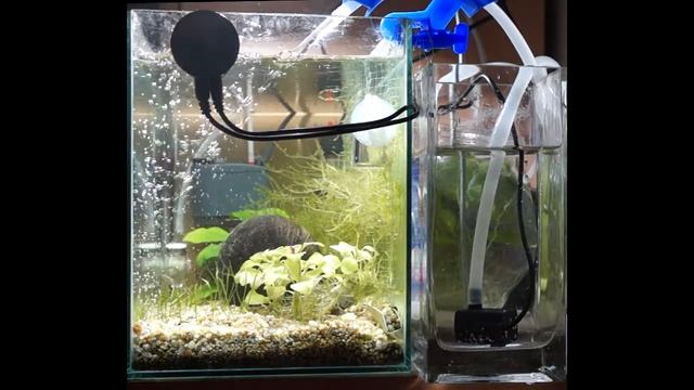 Автодолив для аквариума Auto Top Off смотреть онлайн