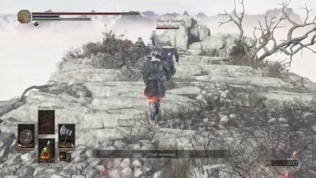 Dark Souls 3: No Need to Git Gud When You Can Just Resummon Phantoms (Raw Clip) смотреть онлайн
