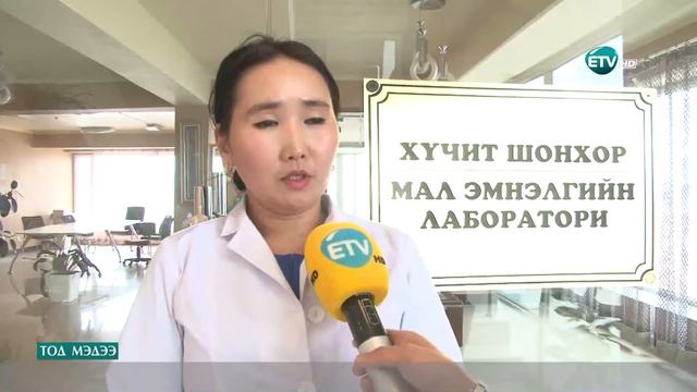 ETV HD Үхрийн цул мах кг нь 9000-11000 төгрөгийн үнэтэй байна. смотреть онлайн