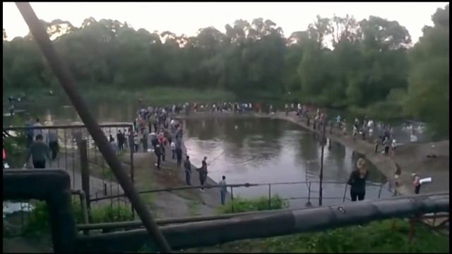 Жадность рыбака смотреть онлайн