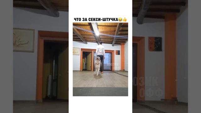 Танцуем смотреть онлайн