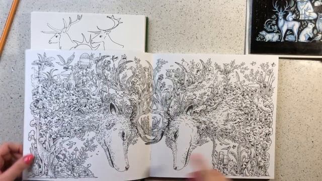 Олени в раскрасках-антистресс / для поиска референса смотреть онлайн