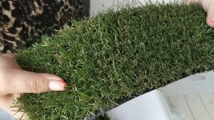 Выбираем газон для топиария