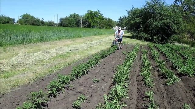 Окучивание МБ без "заморочек"...))) смотреть онлайн