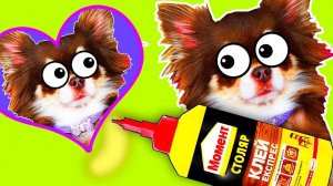 МАГНИТНОЕ ВОЛШЕБСТВО ✨ Питомцы украшают холодильник!