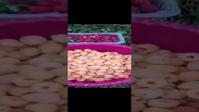 50 оттенков вкуса. Рецепты