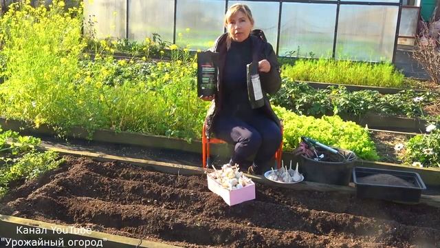 ЭТО САМАЯ ЛУЧШАЯ ПОСАДКА ЧЕСНОКА ОСЕНЬЮ смотреть онлайн