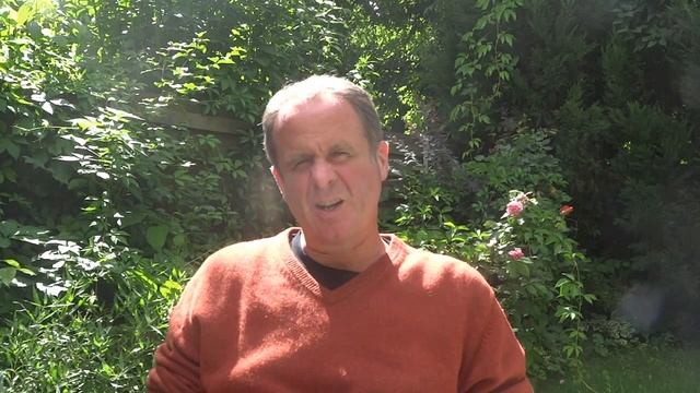 Wings Back To The Egg Album Review