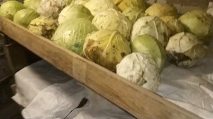 Смотровая яма + погреб в моем гараже. Утепление. Арматура. Дверь. Нюансы